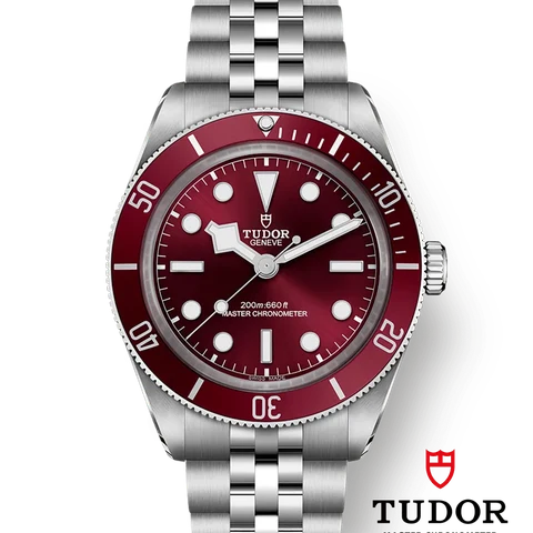 チューダー ブラックベイ 58 M7939A1A0RU-0001