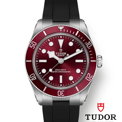 チューダー ブラックベイ 58 M7939A1A0RU-0003