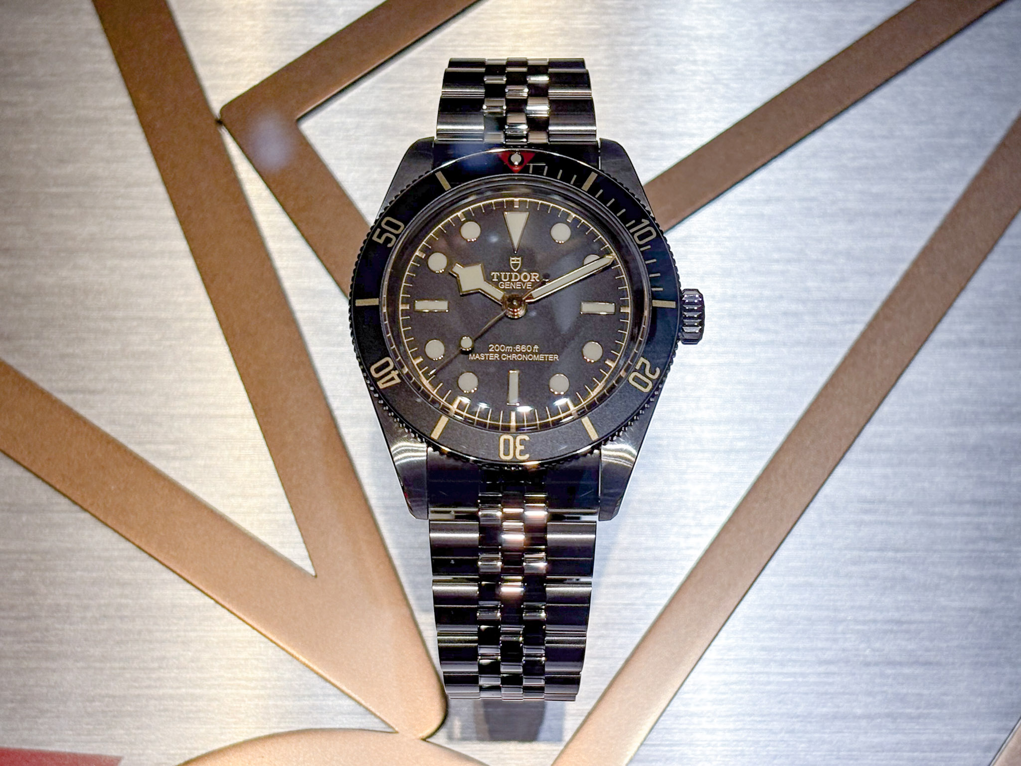 チューダーブラックベイ58 ｜Ref.M7939A1A0NU-0001