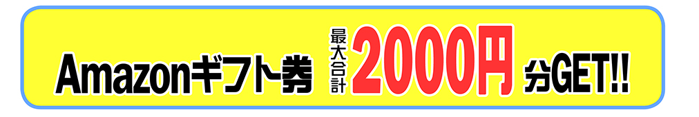 レビュー投稿でギフト券３