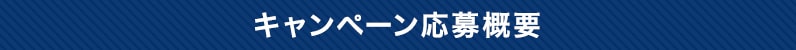 キャンペーン応募概要