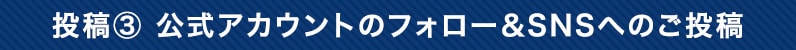 投稿③ 公式アカウントのフォロー&SNSへのご投稿