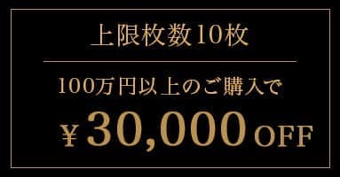 上限枚数10枚 100万円以上のご購入で30,000円OFF