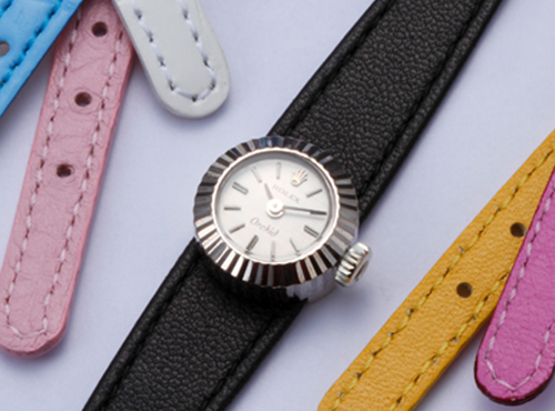 カメレオンとは