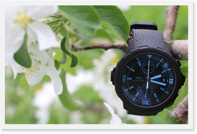 IWC �����������ޡ� �����Υ���� 50���䡼�� �������� �ե��� ����ѥ��� IW379504