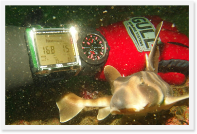 ��ꥹ�ʥ���� �ޥ����ޥ꡼������С� �֥�å����� 263-92-3C